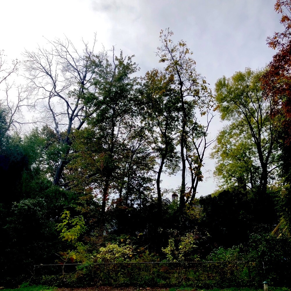 Meet your Posher, Kerri